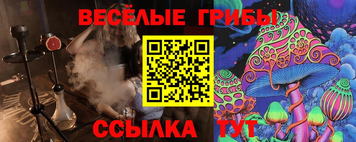 Галлюциногенные грибы Magic Shrooms  Псилоцибиновые грибы Psilocybine cubensis  Вход с VPN  закладки  Ноябрьск 