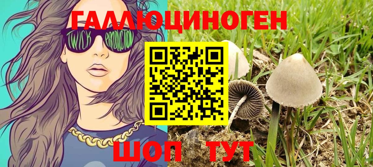 Галлюциногенные грибы Cubensis Ноябрьск