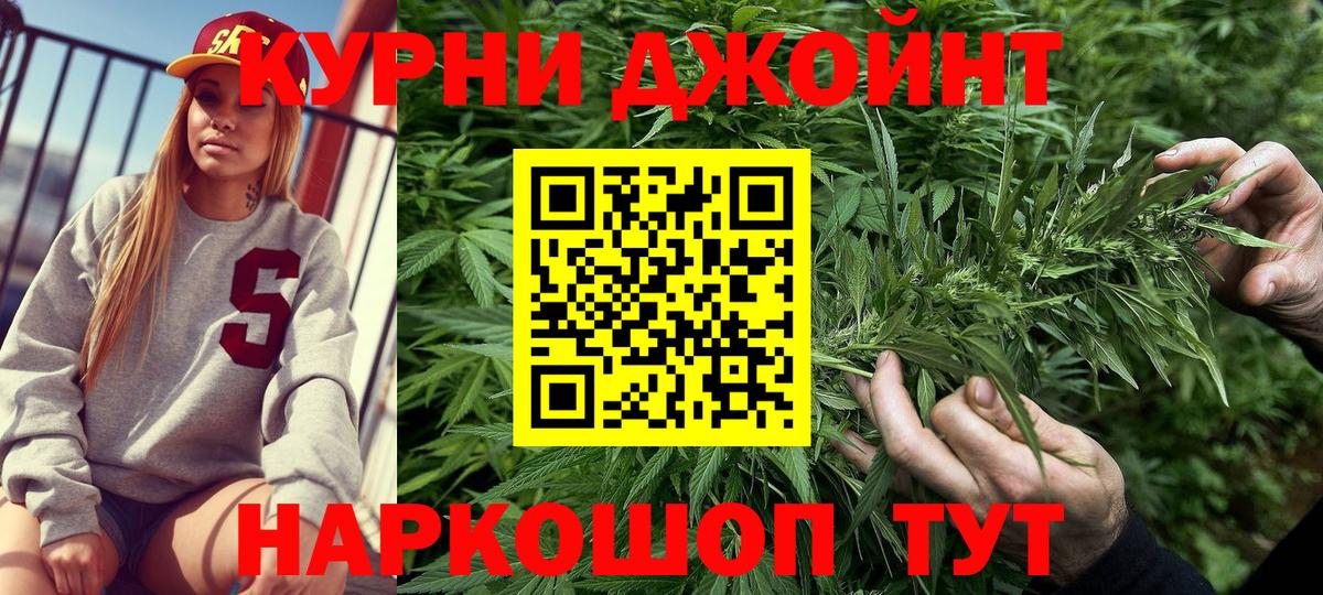 Канабис планчик Ноябрьск